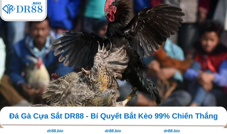 Đá Gà Cựa Sắt DR88